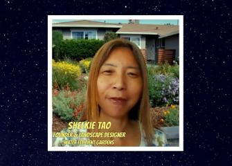 Vườn shelkie nước hiệu quả